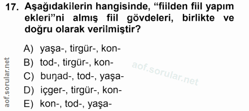 Soru 17