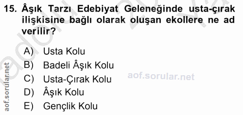 Soru 15