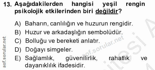 Soru 13
