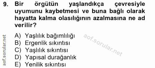 Soru 9