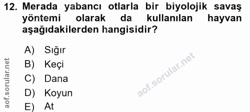 Soru 12