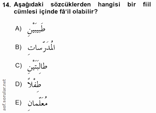 Soru 14