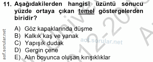 Soru 11