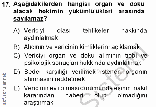 Soru 17