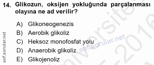 Soru 14