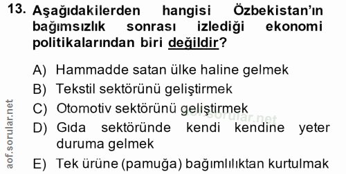 Soru 13