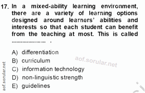 Soru 17