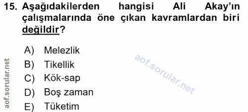 Soru 15
