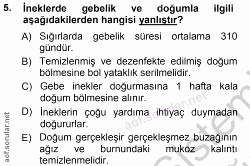 Soru 5