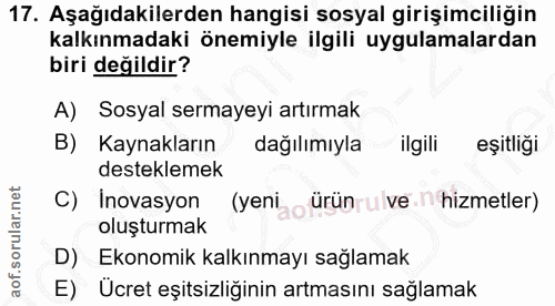 Soru 17