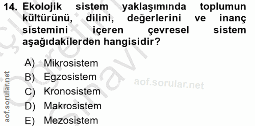 Soru 14
