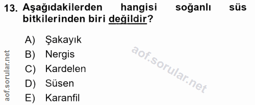 Soru 13