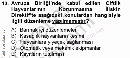 Soru 13