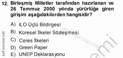 Soru 12
