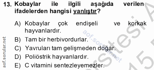 Soru 13