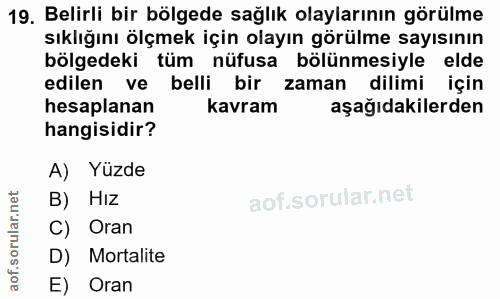 Soru 19