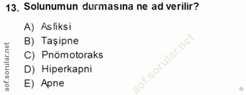 Soru 13