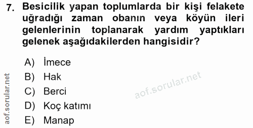 Soru 7