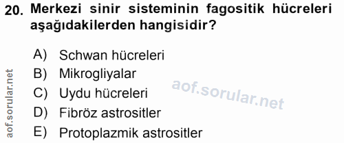 Soru 20