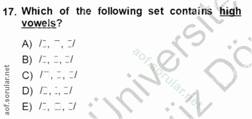 Soru 17
