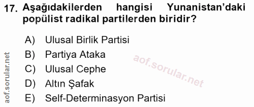 Soru 17