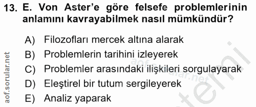 Soru 13