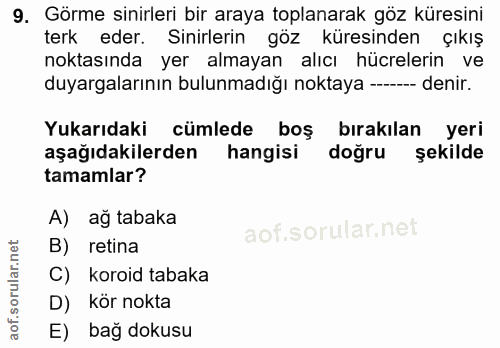 Soru 9