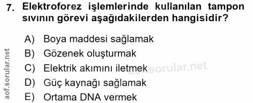 Soru 7