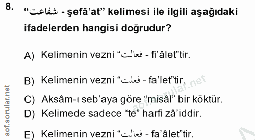 Soru 8