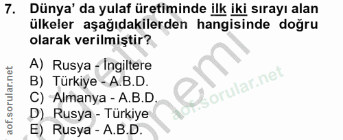 Soru 7