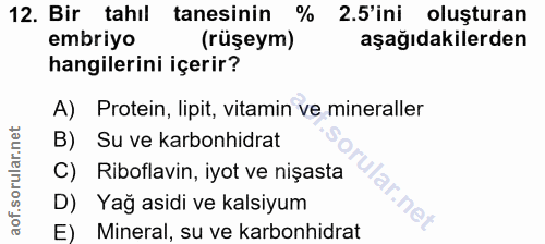 Soru 12