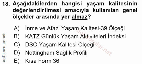Soru 18