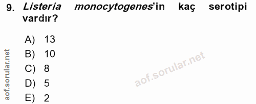 Soru 9