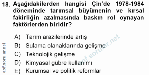 Soru 18