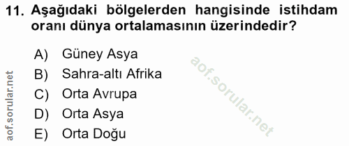 Soru 11