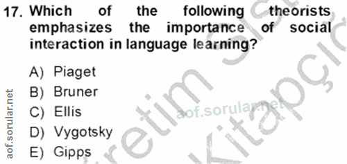Soru 17