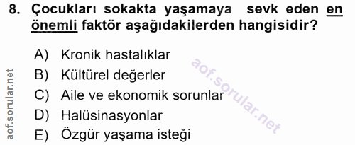Soru 8