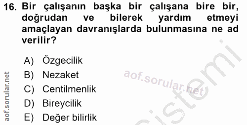 Soru 16