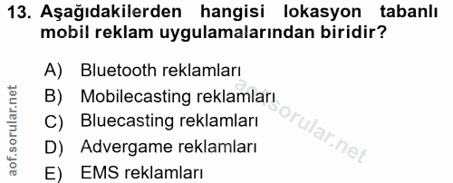 Soru 13