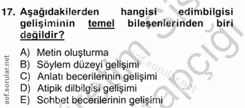 Soru 17