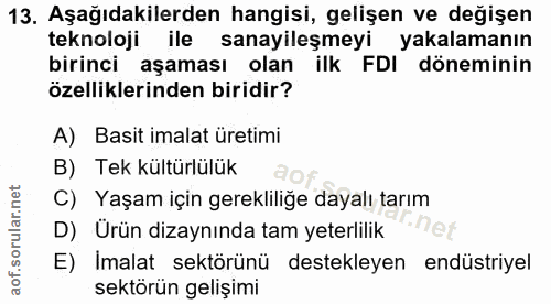 Soru 13