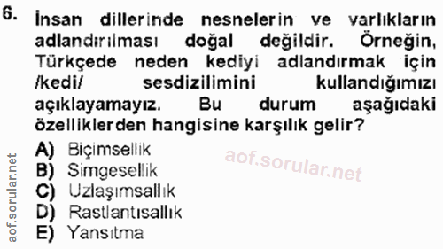 Soru 6