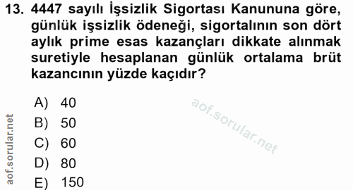 Soru 13