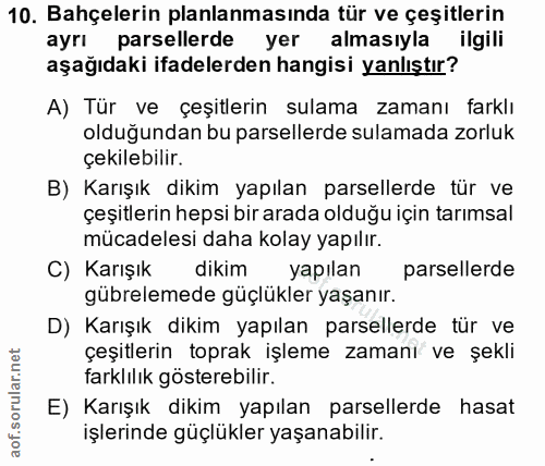 Soru 10