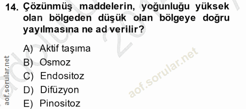 Soru 14