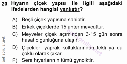 Soru 20