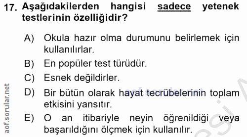 Soru 17