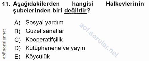 Soru 11