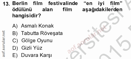 Soru 13