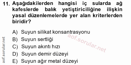 Soru 11